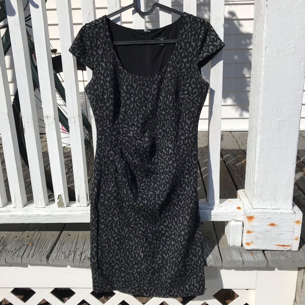 Ann Taylor leopard dress